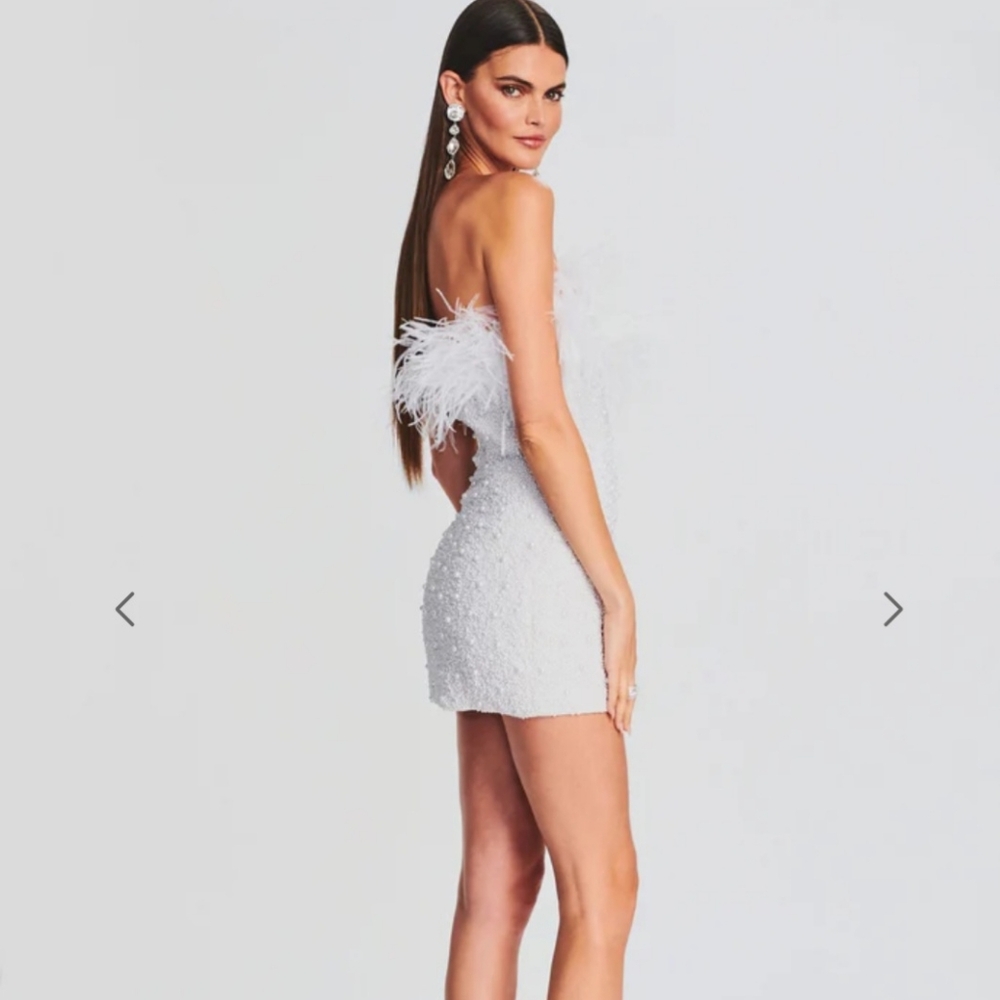 NWT Retrofete Dress - Picture 4 of 9